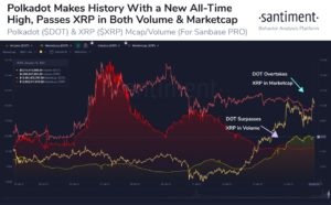 Market Research Report: BTC Undecided, DeFi Sends Altcoin Surging, Stocks Closed Lower Despite Biden’s Stimulus  - DOT pass XRP 300x186