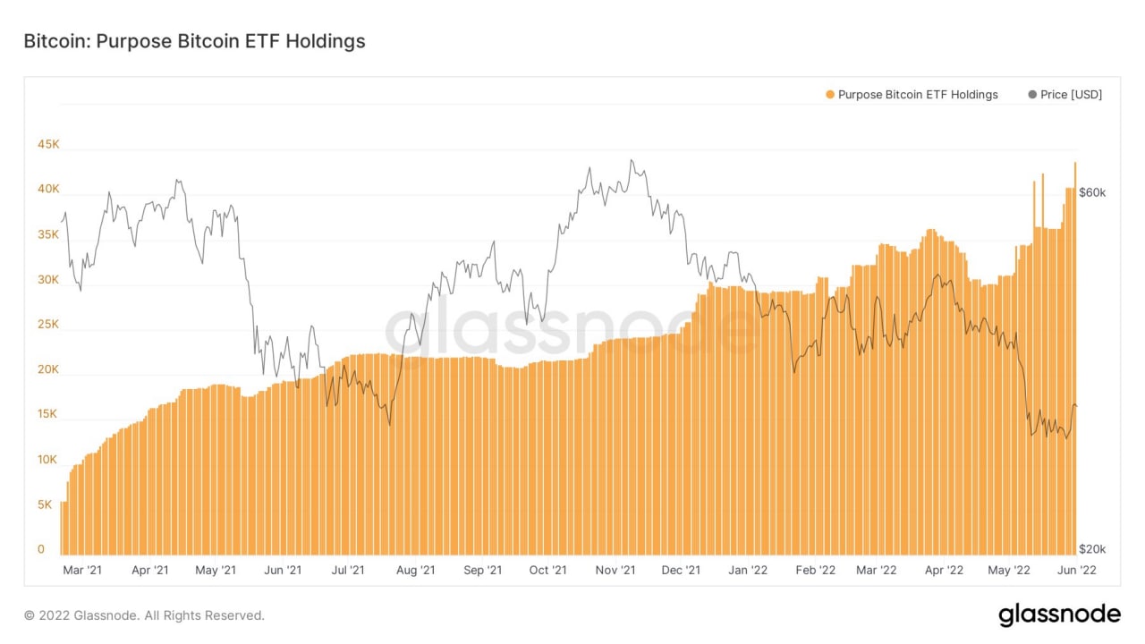 Market Research Report: Oil Spikes Higher After Breakout, Stocks Drop on Better Job Numbers, Crypto Consolidates - Purpose BTC ETF