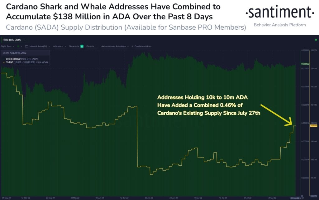 Market Research Report: Crypto Holds Firm Despite USD Rebound, Stocks Mildly Higher, Oil Crushed - ADA whale 1024x641