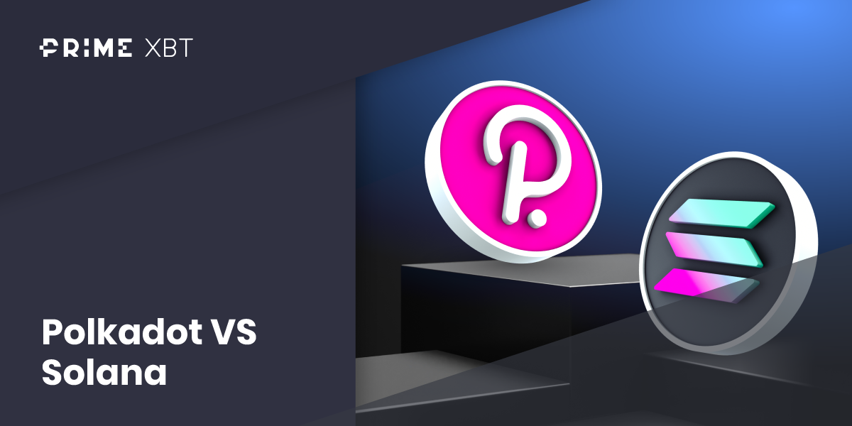 Polkadot vs. Solana: Which One is Better? - polkadot vs solana